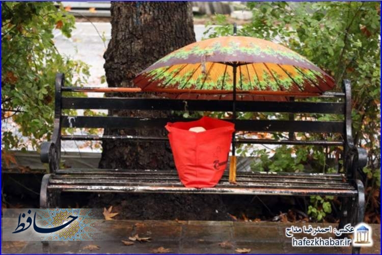 چتر، پاییز، باران/ عکس: احمدرضا مداح