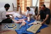 قربانی 30 راس گوسفند و توزیع گوشت گرم میان نیازمندان