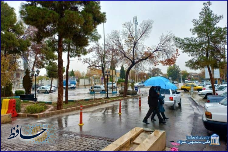 گام‌های شیراز زیر باران/ عکس: محمدمهدی اسدزاده