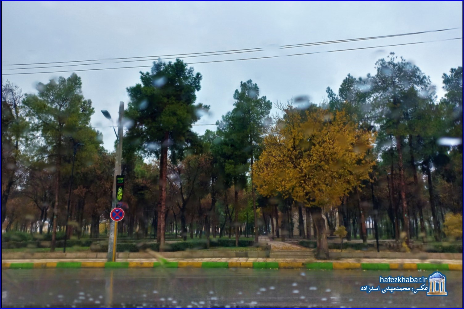 گام‌های شیراز زیر باران/ عکس: محمدمهدی اسدزاده