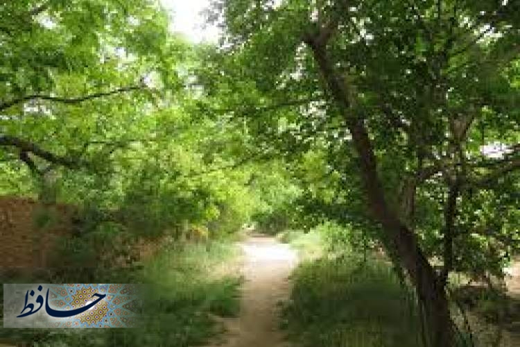 آژیر قرمز شهرداری برای نجات باغات شیراز