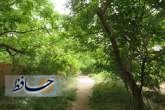 آژیر قرمز شهرداری برای نجات باغات شیراز