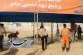 تلاش بی‌وقفه پاکبانان شیراز برای حفظ بهداشت در عید قربان