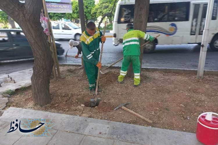 تحول سبز در بلوار زند