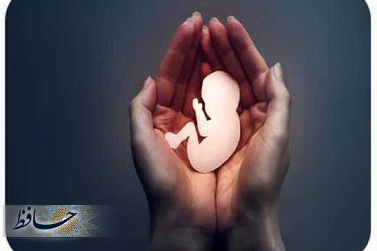 سقط جنین و از دست دادن بارداری چیست؟