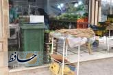 طرح جدید شهرداری شیراز برای تولید کود آلی