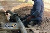 کاهش مصرف آب، افزایش طراوت شهری