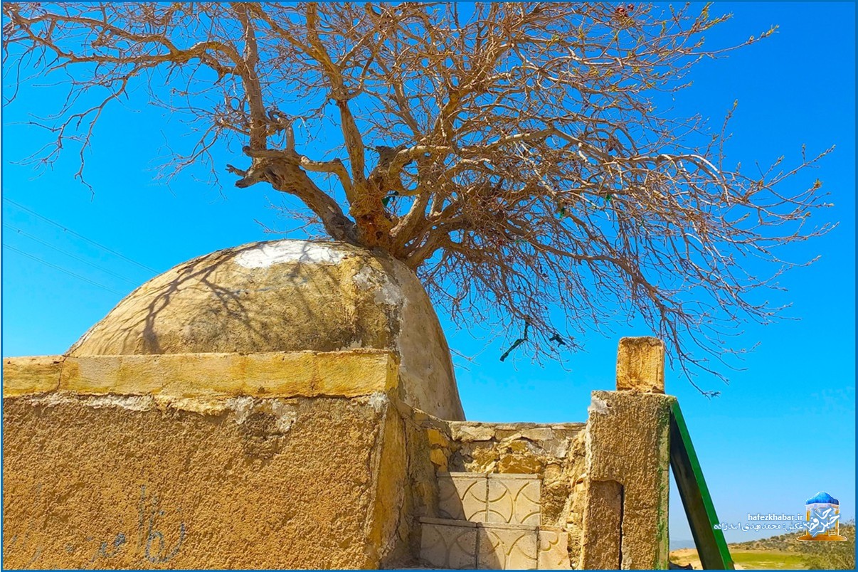 پیربنکی کازرون/ عکس: محمدمهدی اسدزاده