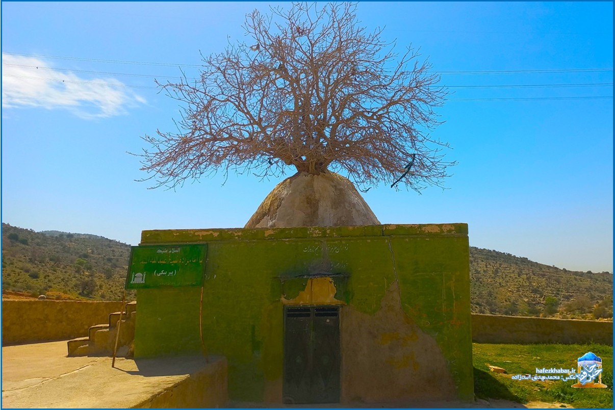 پیربنکی کازرون/ عکس: محمدمهدی اسدزاده