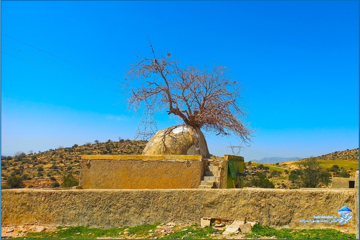 پیربنکی کازرون/ عکس: محمدمهدی اسدزاده