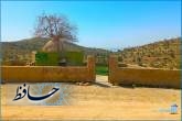 آرامگاه پیربنکی کازرون/ عکس: محمدمهدی اسدزاده